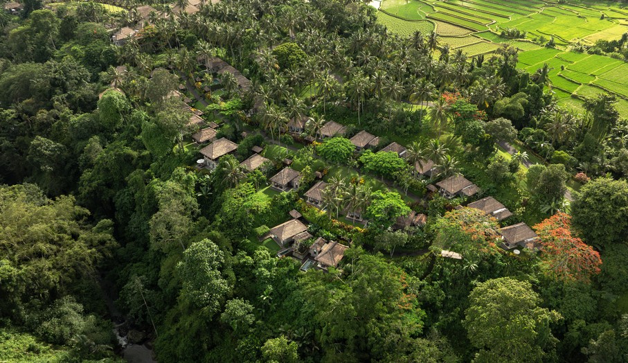 Hot Deal at Maya Ubud
