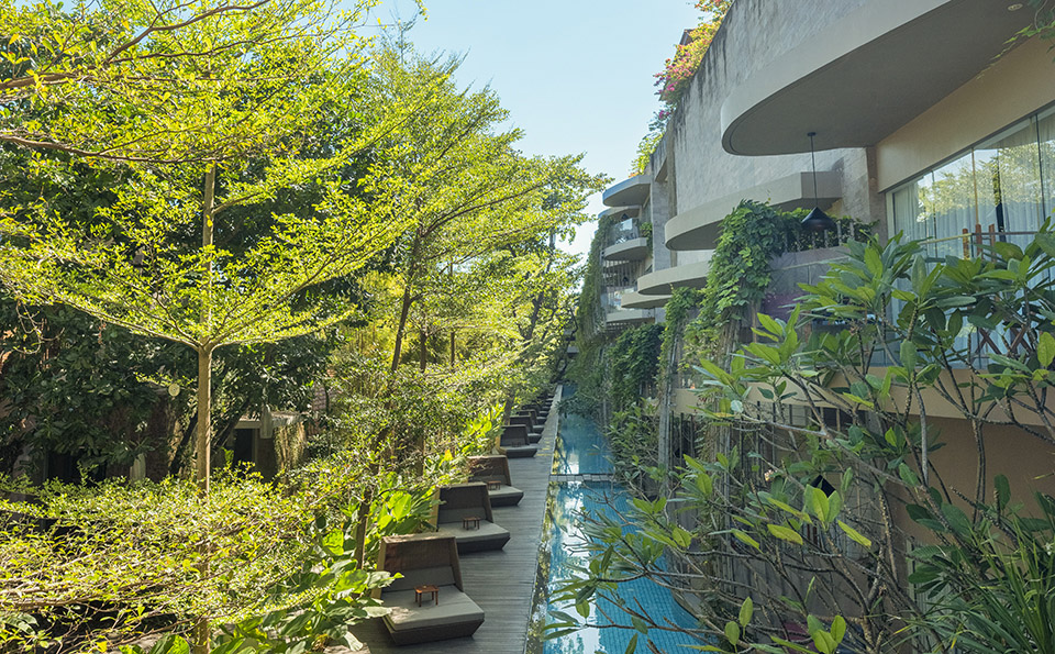Impressive Nest Suite | Maya Sanur Resort & Spa