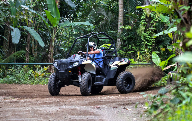 Jungle Buggies