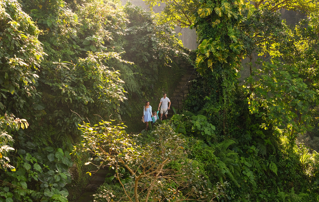 Forest Trail at Maya Ubud