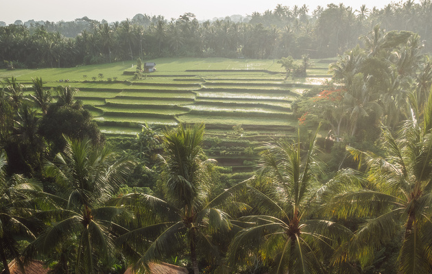 Best Time to Visit Bali: Your Complete Guide for 2025