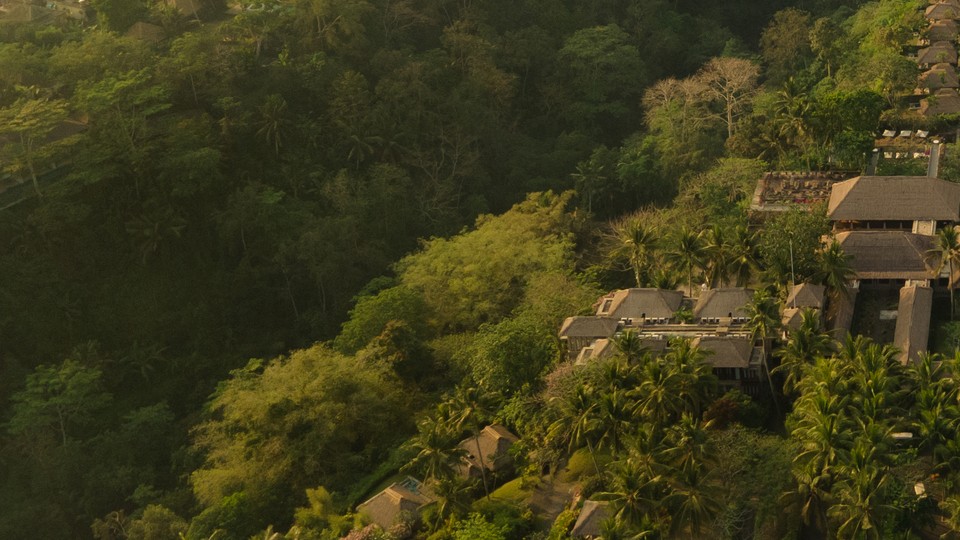 How to Find the Best Bali Hotel Deals for Your 2026 Vacation