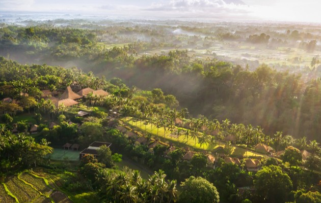 Maya Resorts