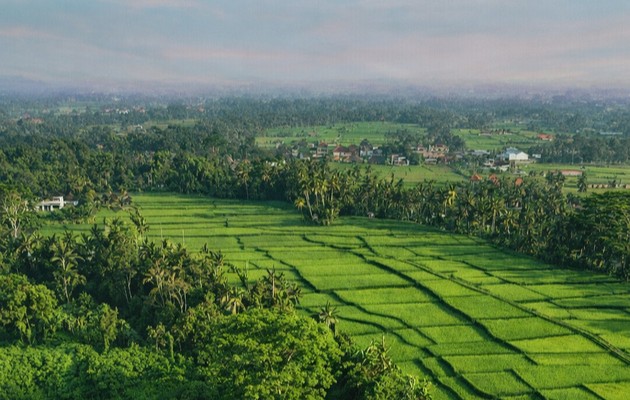 Maya Resorts