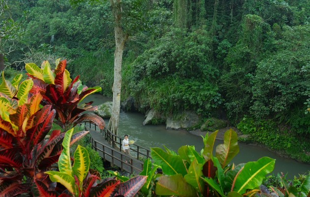 Maya Resorts
