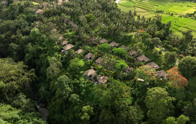Maya Ubud Aerial