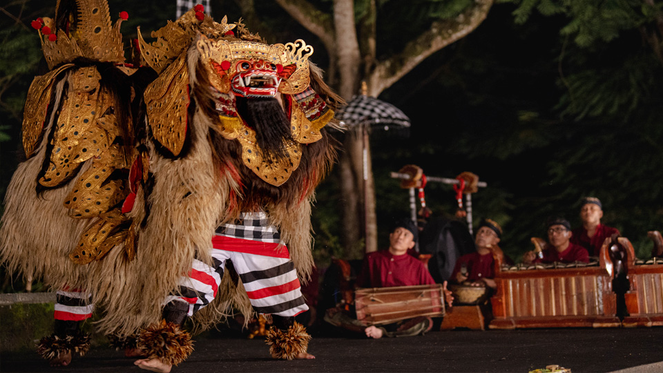 Cultural Dining Experience Cultural Dining Experience