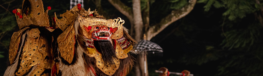 Cultural Dining Experience Cultural Dining Experience