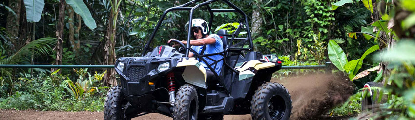 Jungle Buggies