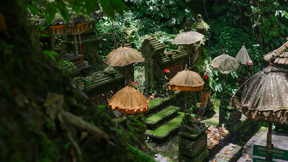 North Bali Tours