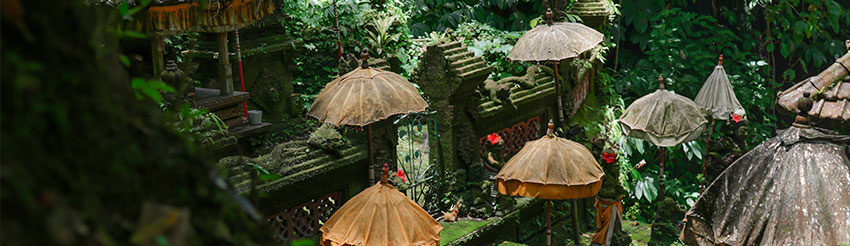 North Bali Tours