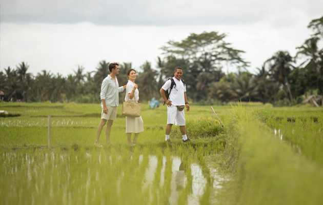 Rice Paddy Walk - Local Lifestyle