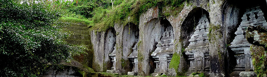 Ubud Tours