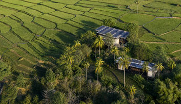 Growing Grounds