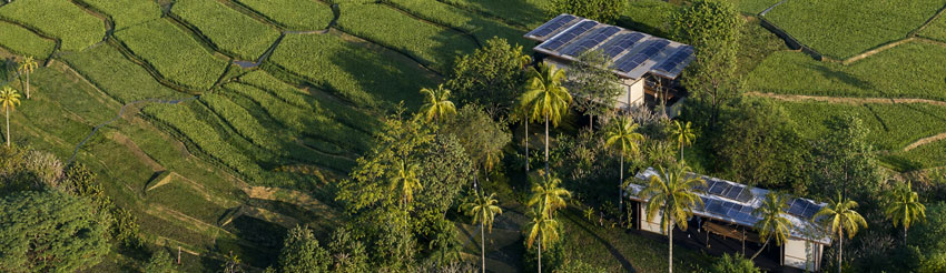 Growing Grounds