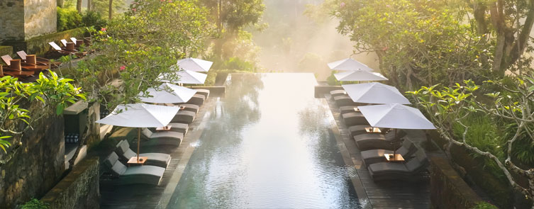 Main Swimming Pool - Magical Morning Rays