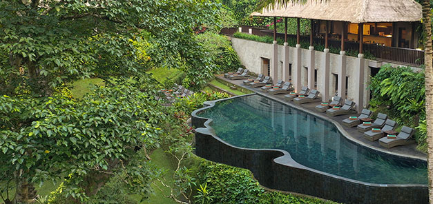 Infinity Riverside Pool - Forest Sight