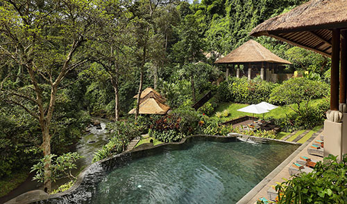 The River Cafe - Pool and Jungle View